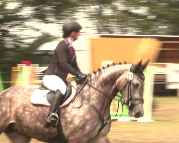 Reitturnier Petershagen-Eldagsen 2016