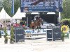 jumper Fitch (Oldenburg show jumper, 2009, from Flipper d'Elle)