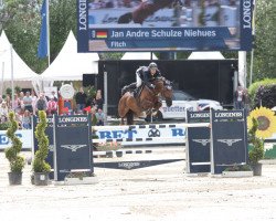 jumper Fitch (Oldenburg show jumper, 2009, from Flipper d'Elle)