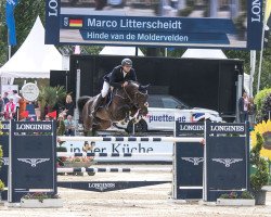 Springpferd Hinde van de Moldervelden (Belgisches Warmblut, 2007, von Thunder van de Zuuthoeve)