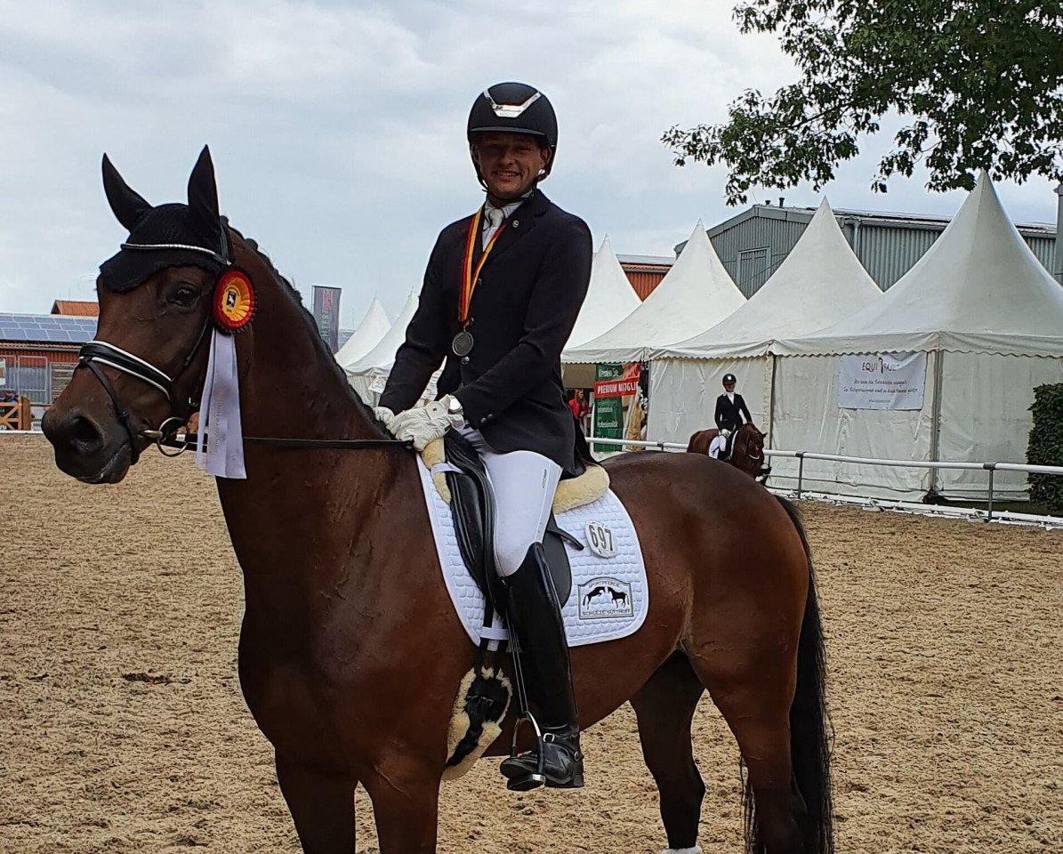 dressage horse Rock Revolution (Westphalian, 2013, from Rock Forever NRW)
