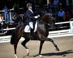 dressage horse Dare 2 be (Hanoverian, 2013, from Dancier)