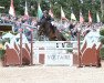 jumper Caribu 7 (Oldenburg show jumper, 2013, from Carrico)