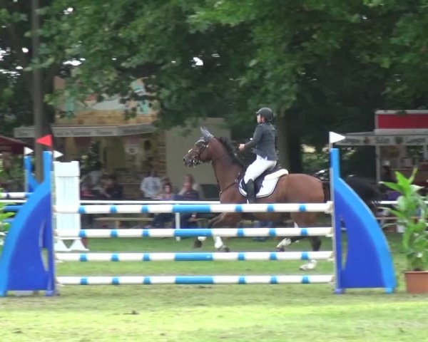 Reitturnier Zobbenitz 2016