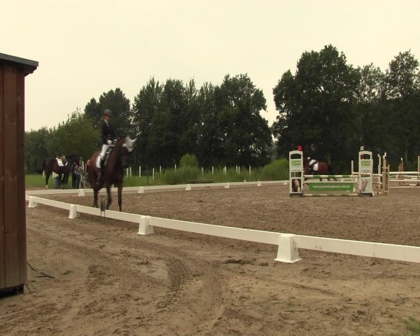 Reitturnier Olfen-Vinnum 2016