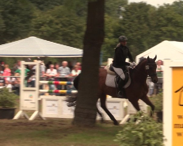 Reitturnier Petershagen-Eldagsen 2016