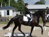 dressage horse Dumbledore S (Holsteiner, 2012, from Dolany)