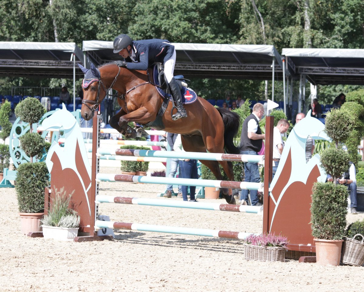 jumper Django S 4 (Westphalian, 2014, from Dakar)