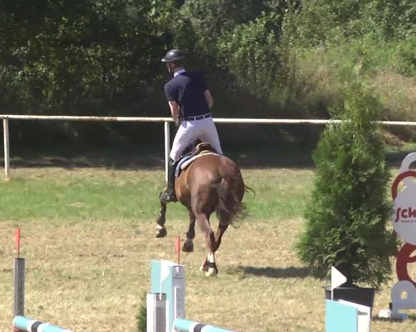 Reitturnier Idar-Oberstein 2016