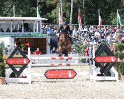 jumper Tailormade Chalou Sem (Oldenburg show jumper, 2014, from Tailormade Chaloubet)