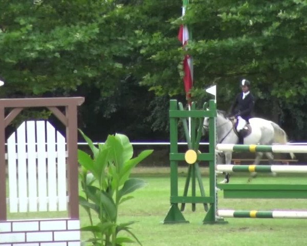 Reitturnier Zobbenitz 2016