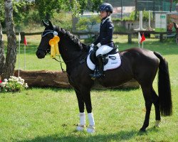 jumper Sunshine's Nala (German Riding Pony, 2013, from Nutrix)