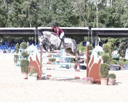 jumper FBW Captain Norbert (German Sport Horse, 2014, from Con Spirito R)