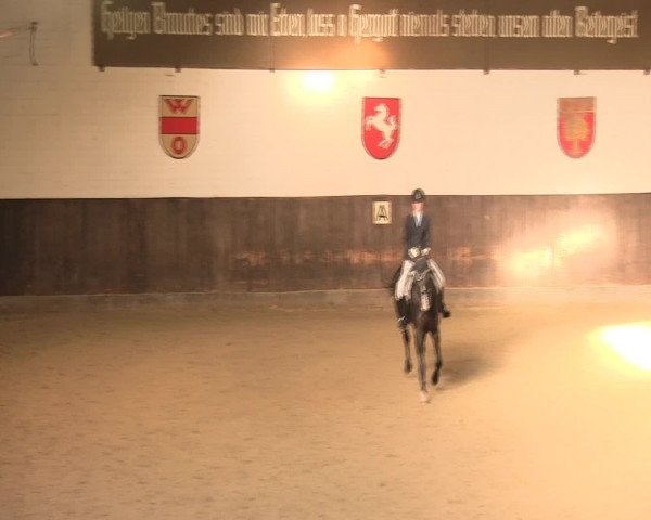 Reitturnier Olfen-Vinnum 2016