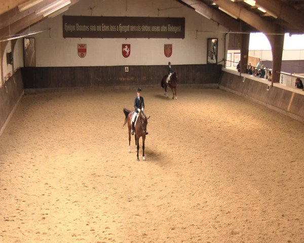 Reitturnier Olfen-Vinnum 2016