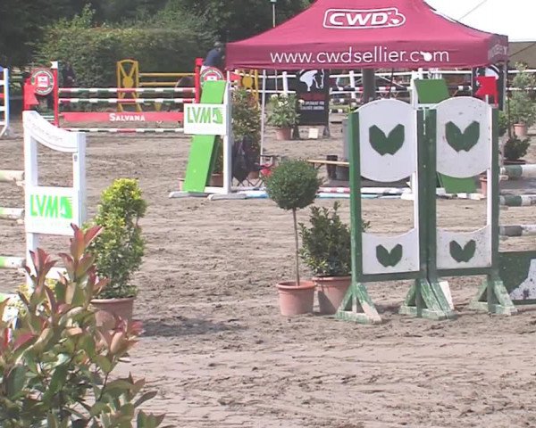 Reitturnier Tangstedt/Pinneberg 2016