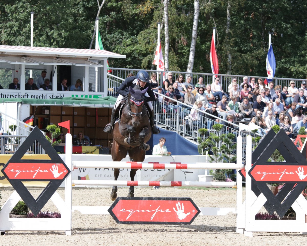 Springpferd Cool Limit Rn (Holsteiner, 2014, von Cormint)