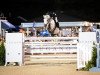 jumper Country Boy (Oldenburg show jumper, 2009, from Carry Best)