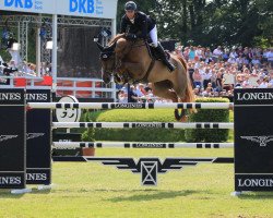 broodmare Concona (Oldenburg show jumper, 2010, from Conthargos)