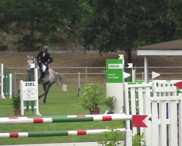 Reitturnier Gardelegen 2016