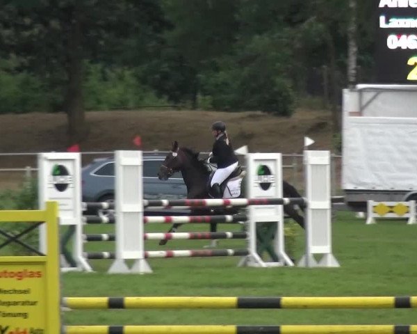 Reitturnier Gardelegen 2016