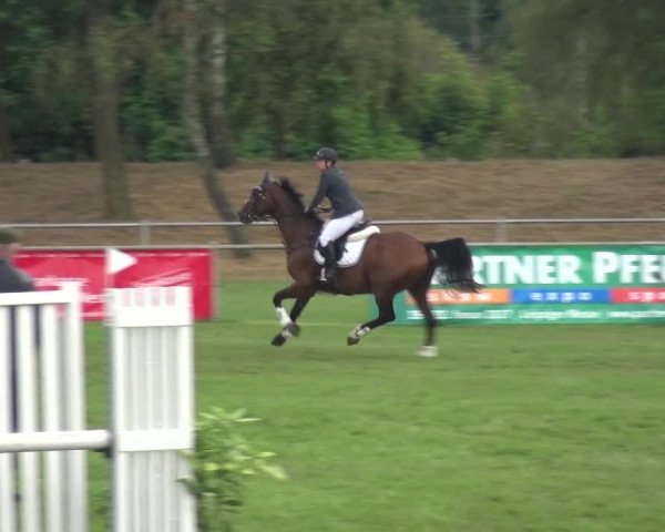 Reitturnier Gardelegen 2016