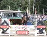 jumper Hh Medarco PS (Oldenburg show jumper, 2014, from HH Messenger)