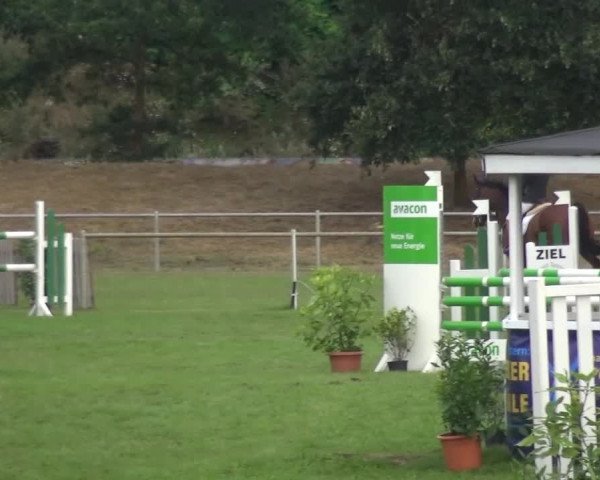 Reitturnier Gardelegen 2016