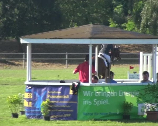 Reitturnier Gardelegen 2016