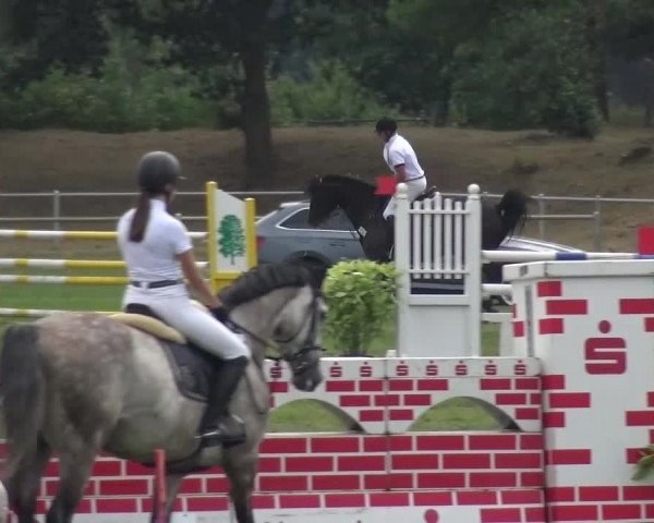 Reitturnier Gardelegen 2016