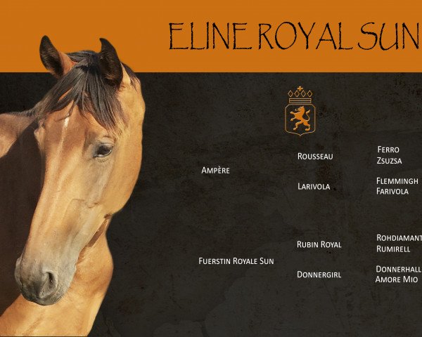 Zuchtstute Eline Royal Sun (Koninklijk Warmbloed Paardenstamboek Nederland (KWPN), 2009, von Ampère)