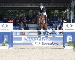 jumper Lordas 4 (Oldenburg show jumper, 2014, from Lordanos)