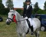 dressage horse Apollo D (German Riding Pony, 2006, from Amarillys Sensation D)