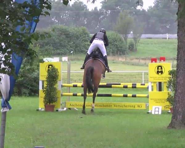Reitturnier Memmingen 2016