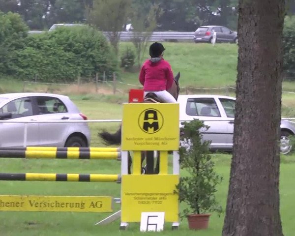 Reitturnier Memmingen 2016