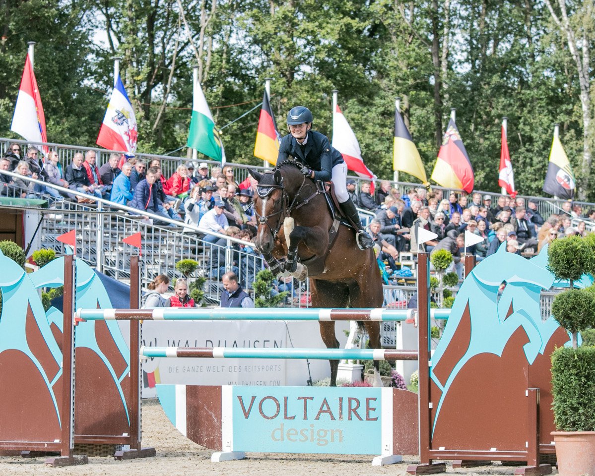 Springpferd Coole Lotte H (Westfale, 2013, von Comme il Faut)