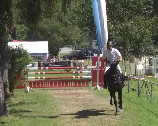 Reitturnier Memmingen 2016