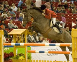 broodmare Ab Und Zu (American Warmblood, 2001, from Cor D'Alme Z)