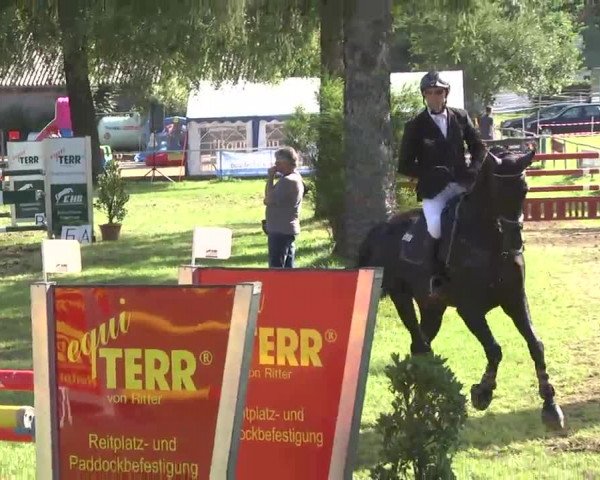 Reitturnier Memmingen 2016