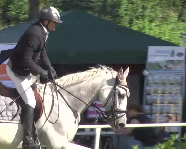 Reitturnier Memmingen 2016