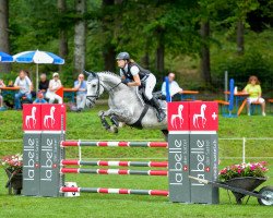 jumper Sweet Caroline Hrh (Hanoverian, 2007, from Stalypso)