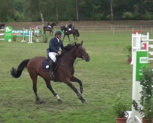 Reitturnier Gardelegen 2016