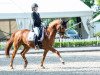 dressage horse Wild Passion (Nederlands Rijpaarden en Pony, 2004, from Wild Romance)