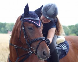 dressage horse Elkajo (Lewitzer, 2002, from El Kayr)