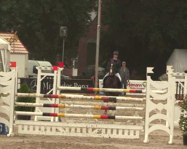 Waltroper Reitertage 2016