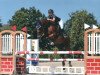 jumper Hold Up van de Padenborre (Belgian Warmblood, 2007, from Canturo)