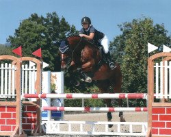 jumper Hold Up van de Padenborre (Belgian Warmblood, 2007, from Canturo)