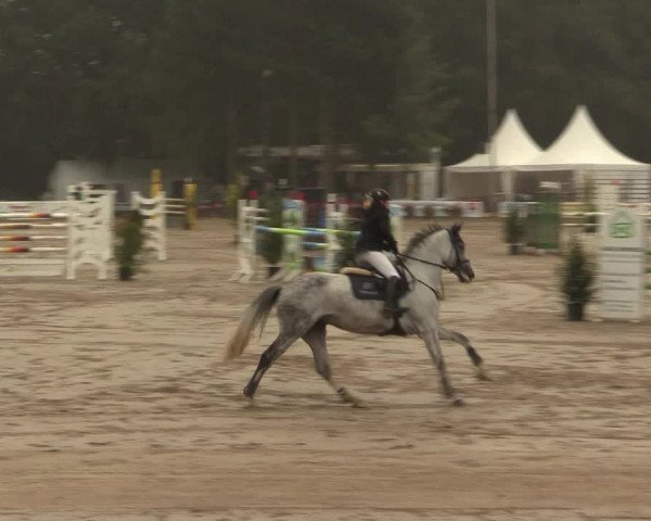 Waltroper Reitertage 2016