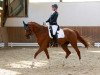 dressage horse Frida Gold (Hanoverian, 2010, from Fuechtels Floriscount OLD)