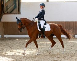 dressage horse Frida Gold (Hanoverian, 2010, from Fuechtels Floriscount OLD)